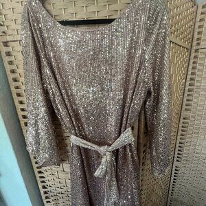 Anthropologie Starling Sequined Dress